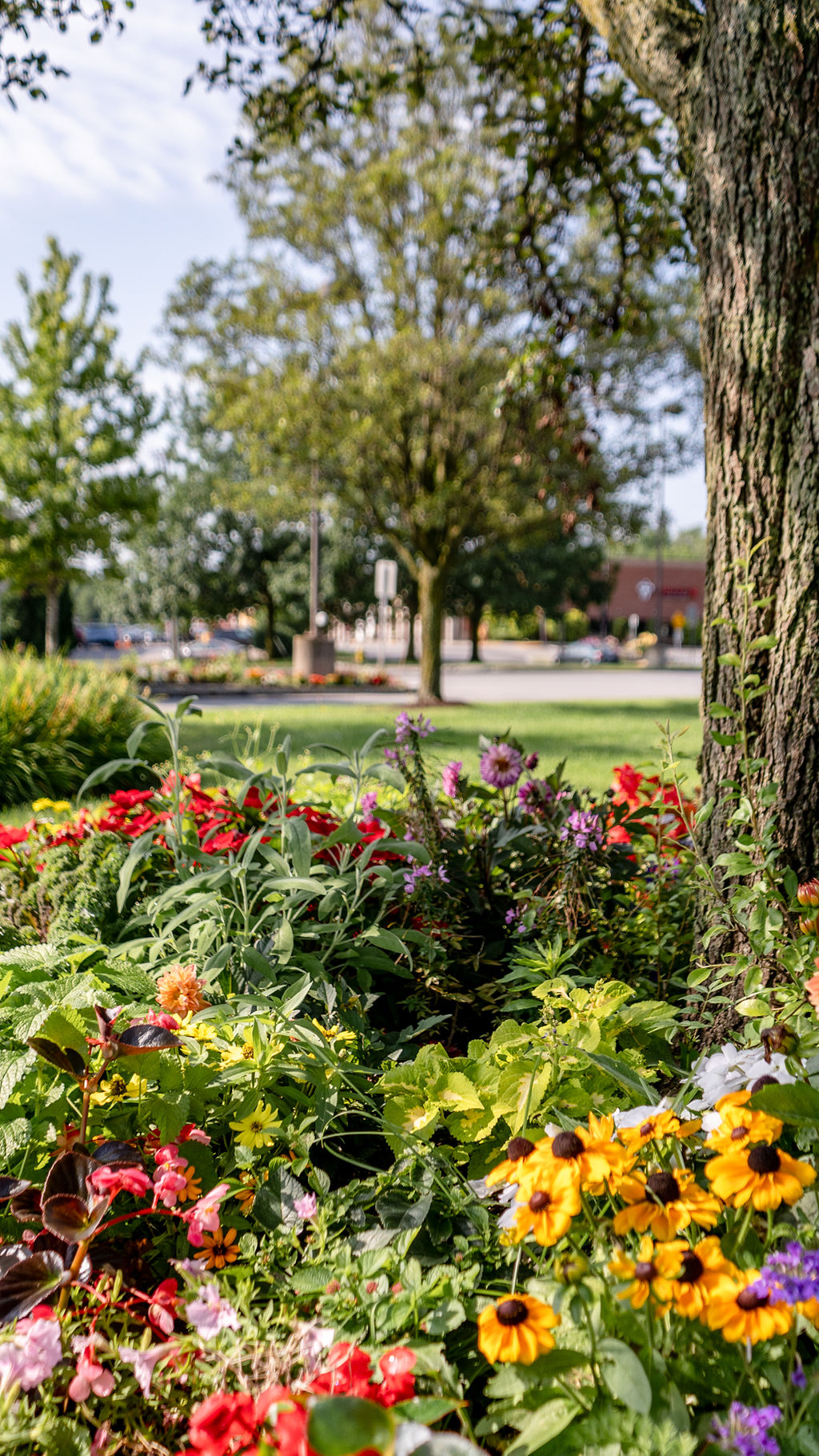 RM Landscape – Commercial Landscaping in Rochester, NY