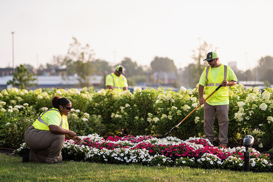 Commercial Landscaping in Rochester, Buffalo & The Fingerlakes