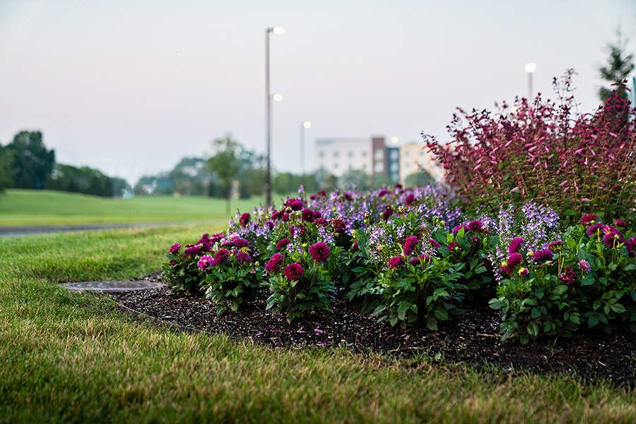 Commercial Landscaping Services in Rochester, NY and Buffalo, NY