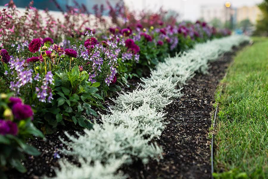 Professionally designed commercial landscape beds with colorful flowers and decorative plantings