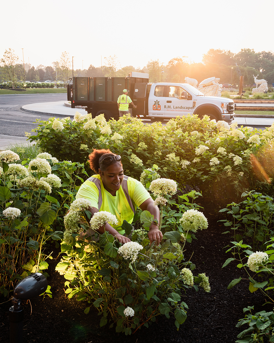Commercial Landscaping in Rochester, Buffalo & The Fingerlakes