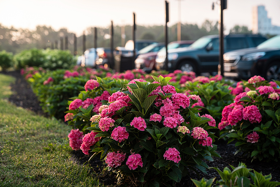 Commercial Landscaping in Rochester, Buffalo & The Fingerlakes