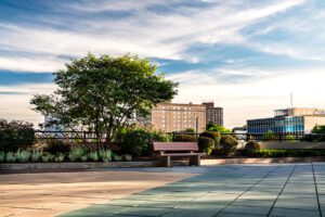 Commercial Landscaping Services in Buffalo, NY