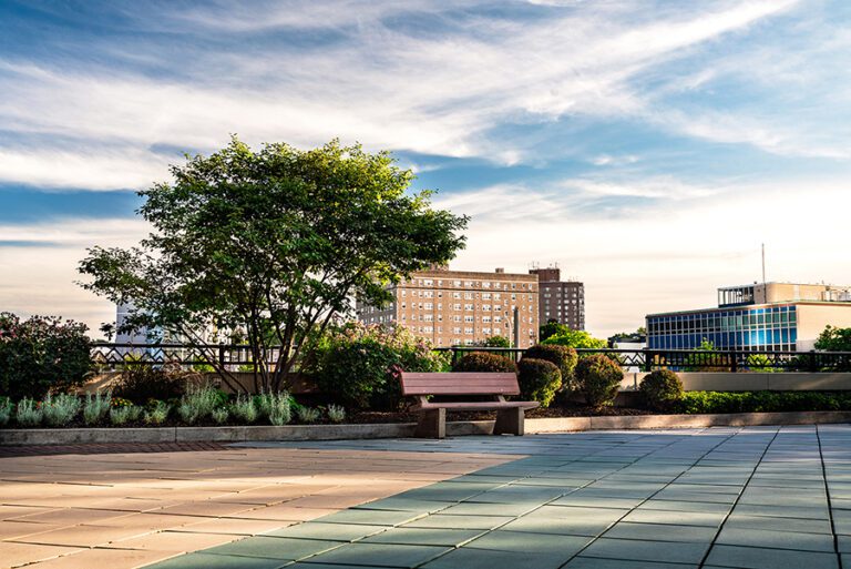 Commercial Landscaping Services in Buffalo, NY