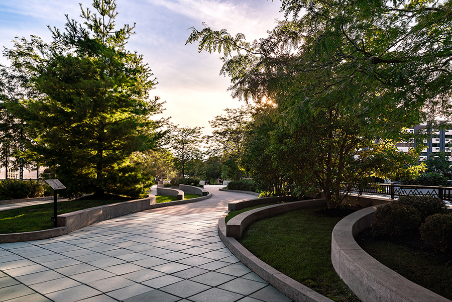 Commercial Landscaping Services in Buffalo, NY