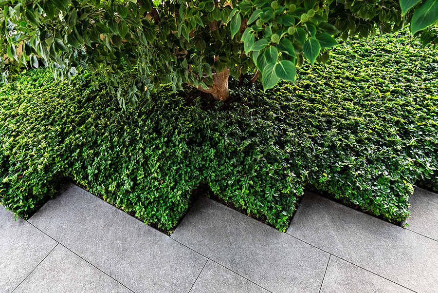 Commercial Landscaping in Rochester, Buffalo & The Fingerlakes