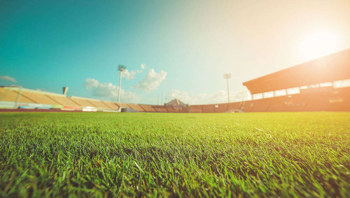 R.M. Landscape - Athletic Field Development in Buffalo, NY and Rochester, NY